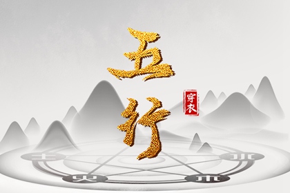 命起名免费测试|智能八字取名|改名起名|名字男孩取名字|起名2026
